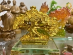 Cây tiền vàng phong thủy 11cm