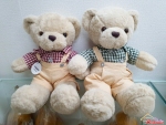 Quà tặng nhồi bông - Gấu Teddy đeo yếm 38cm
