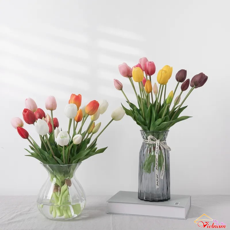 7 hoa tulip (4)