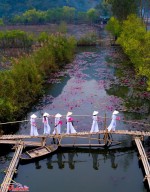 Khoảnh khắc đẹp nhất mùa xuân năm 2020 gọi tên nhiếp ảnh gia Việt Nam