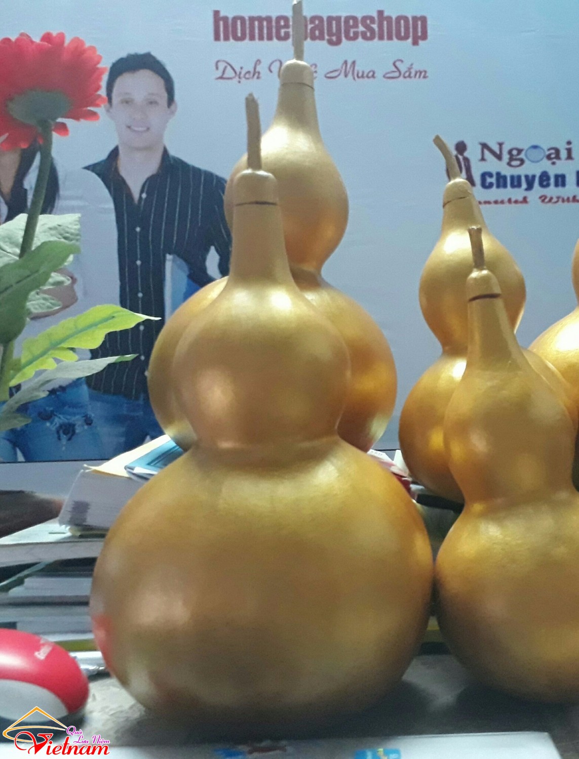 bau ho lo phong thuy 2