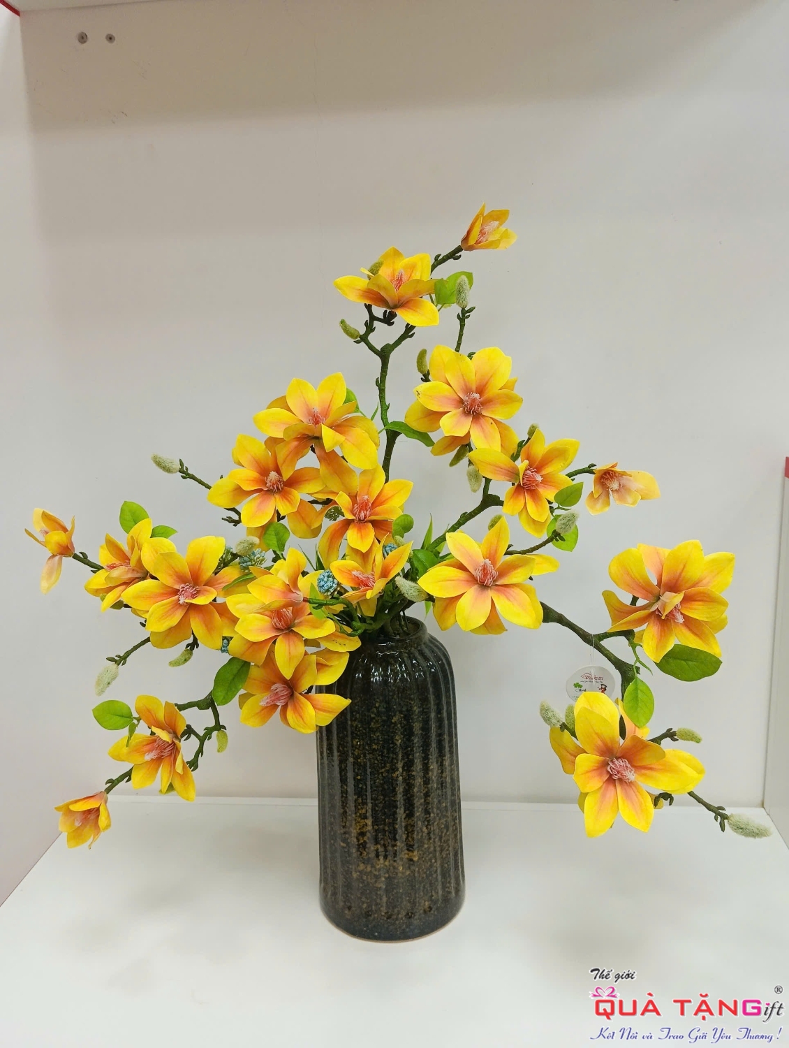 z5979754469468 cf598d0bb19107a1356e9bdb49ae6b53