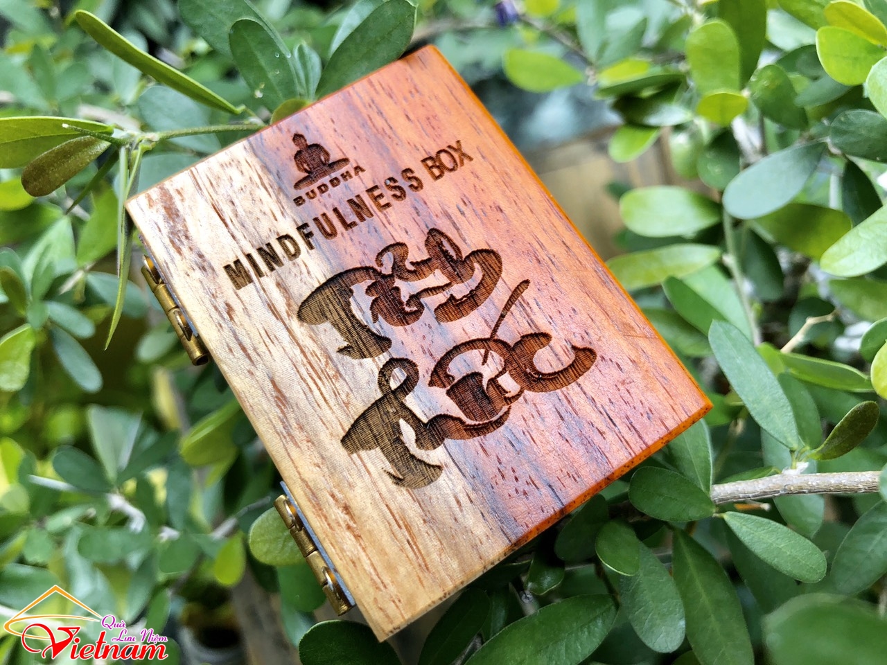 tinh thuc box go cam lai (3)